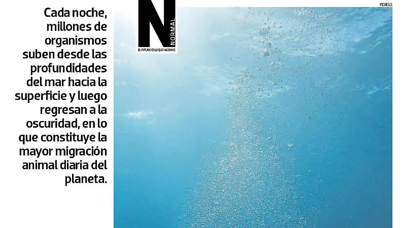 Migración oculta SITIO2